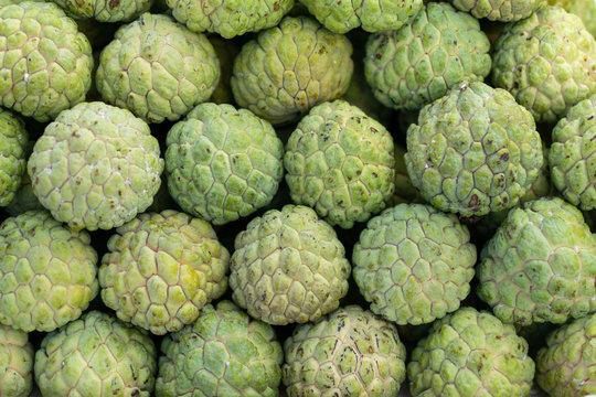 custard apple 