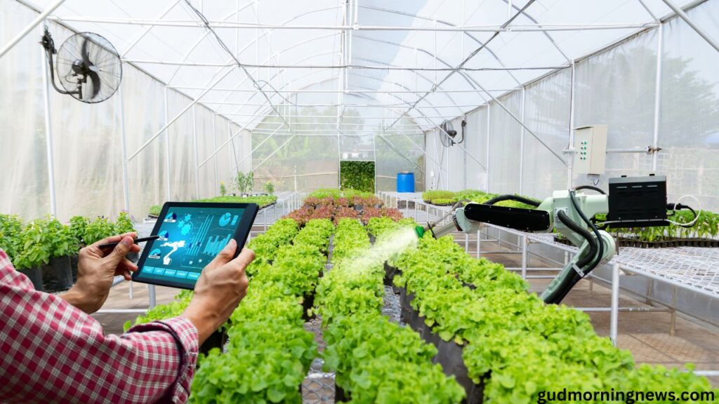 Artificial intelligence farming