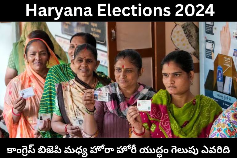 Haryana Elections 2024